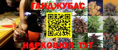 прущие крисы Изобильный