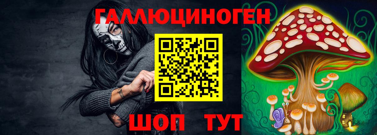 Псилоцибиновые грибы GOLDEN TEACHER  Вход с VPN  Томск 