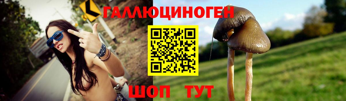 Галлюциногенные грибы Magic Shrooms Томск